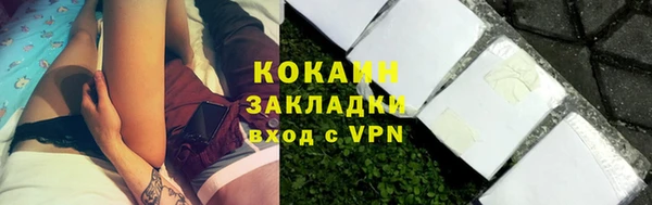 шишки Богданович