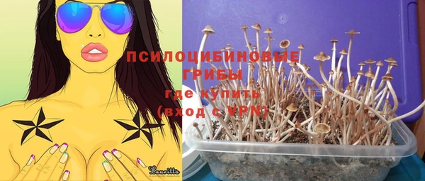 шишки Богданович
